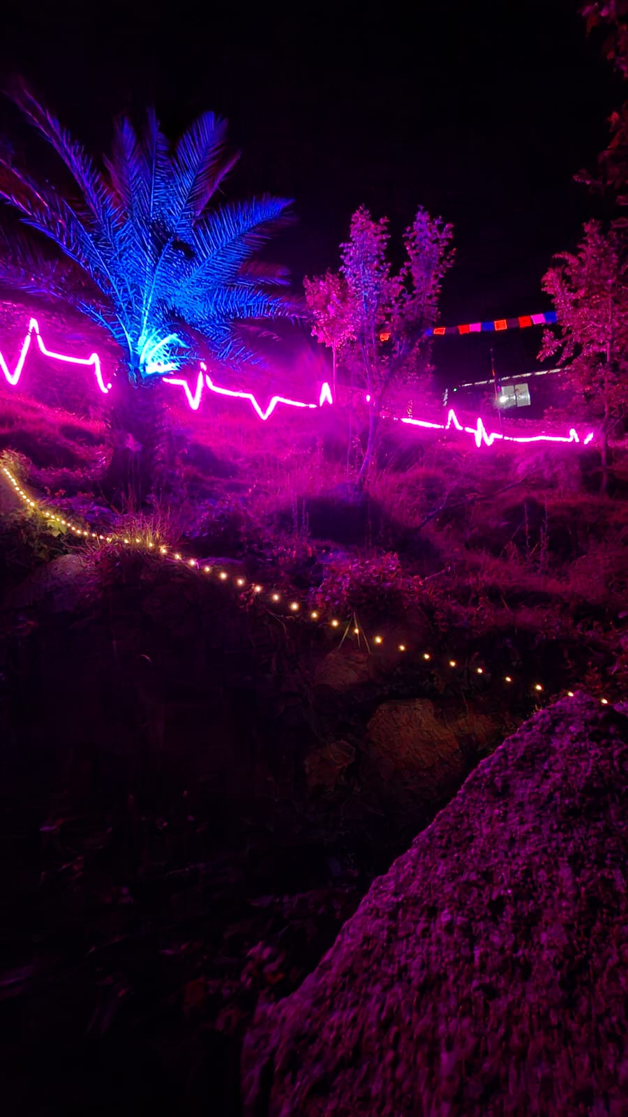 Night lights for stargazing at Golden Horizon