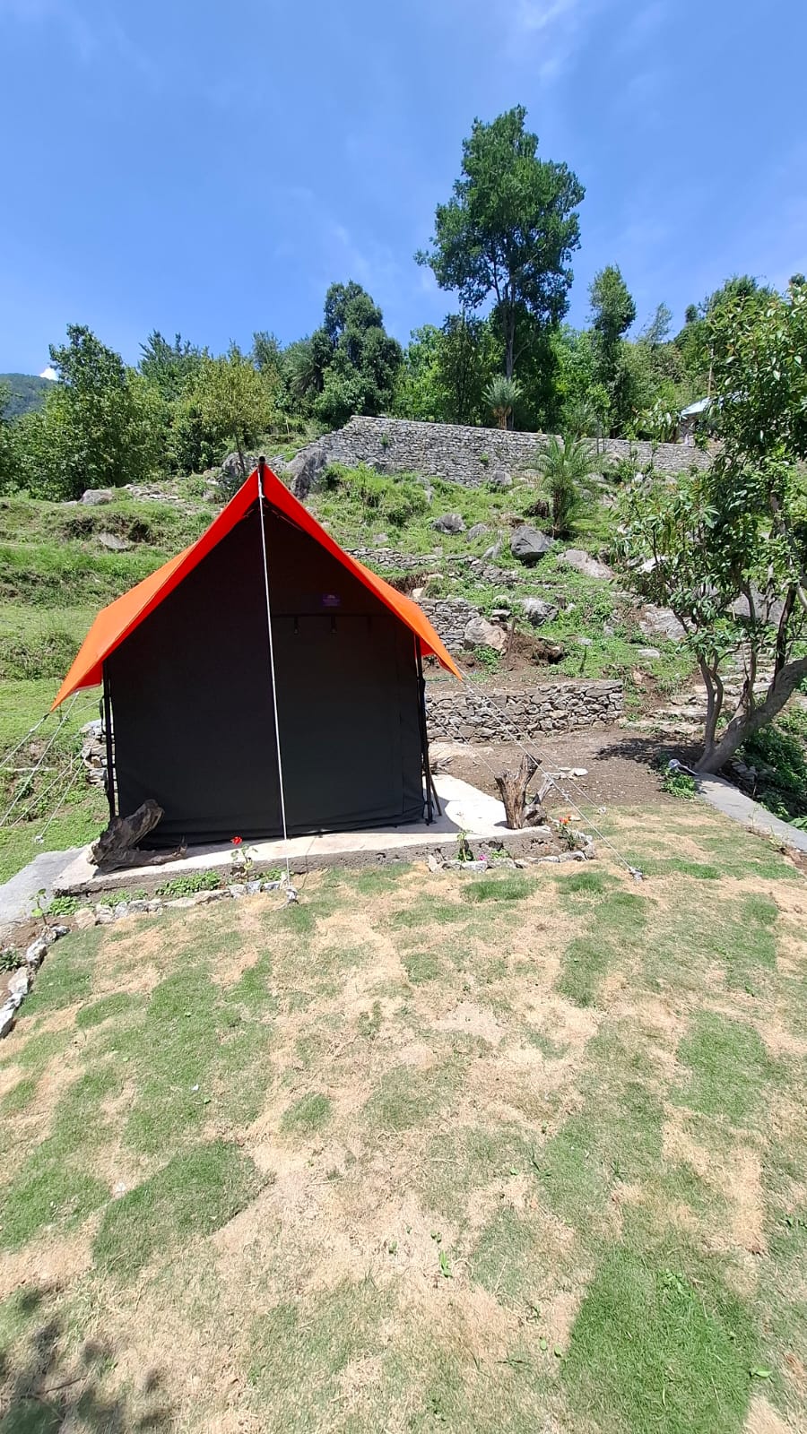 Golden Horizon camp in sunshine